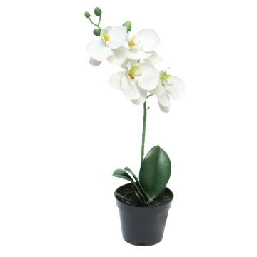 Kunstblume Phalaenopsis Orchidee CHENXU, weiß, 35cm