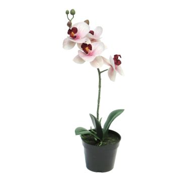 Kunstblume Phalaenopsis Orchidee CHENXU, rosa-creme, 35cm