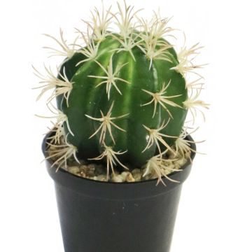 Kunst Kaktus Schwiegermutterstuhl RUOLING, grün, 16cm