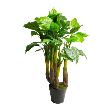Plastikpflanze Anthurium JINGLEI, grün, 120cm