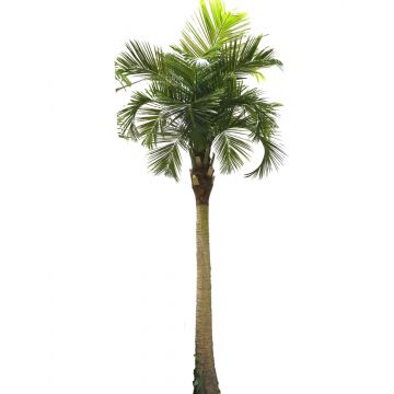 Kunstpflanze Palme Kokospalme ZIWAN, 450cm