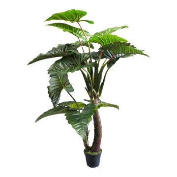 Fake Pflanze Caladium FENYUE, grün, 220cm