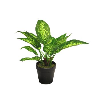 Deko Pflanze Dieffenbachia LEXUAN, Dekotopf, grün, 30cm