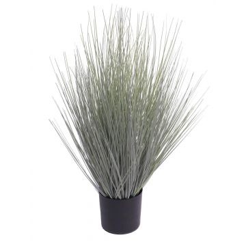 Deko Gras Rutenhirse YAMIN, grau-grün, 60cm