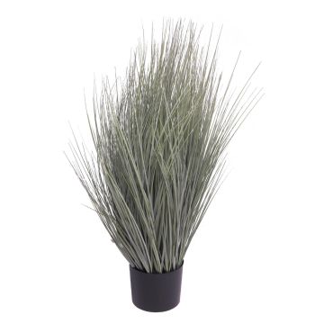 Deko Gras Rutenhirse YAMIN, grau-grün, 90cm