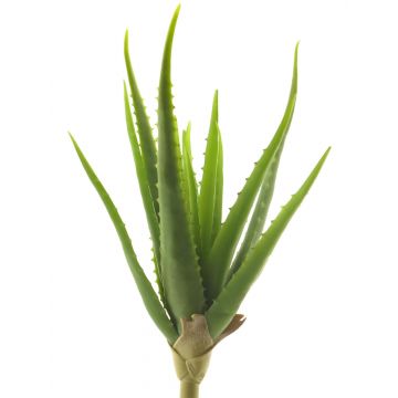 Künstliche Sukkulente Aloe Vera DAHENG auf Steckstab, grün, 40cm