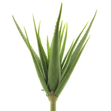 Künstliche Sukkulente Aloe Vera DAHENG auf Steckstab, grün, 60cm