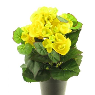 Künstliche Blume Begonie HETIAN im Dekotopf, gelb, 25cm