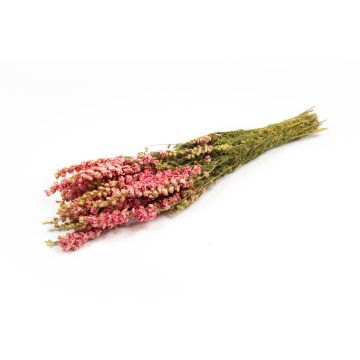 Getrockneter Strauß Rittersporn AITHANA, rosa-creme, 70cm, Ø18cm