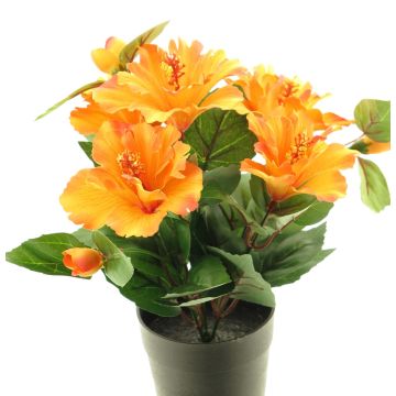 Künstliche Blume Hibiskus GUOXIAO im Dekotopf, orange, 25cm