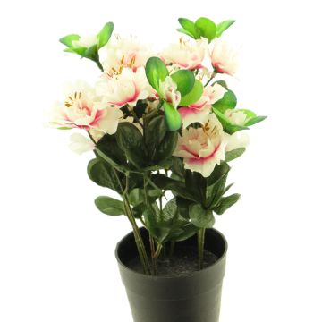 Künstliche Blume Azalee JINGSHU im Dekotopf, creme-pink, 25cm