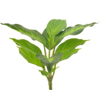 Fake Pflanze Dieffenbachia LUXUAN, Steckstab, grün-creme, 25cm