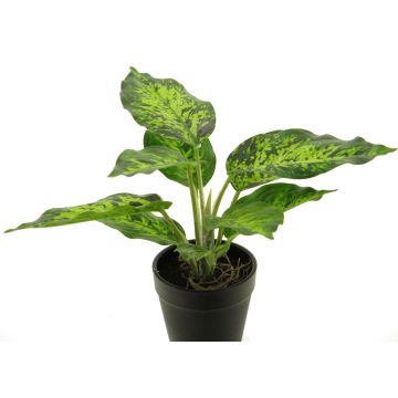 Deko Pflanze Dieffenbachia XUMEI, Übertopf, grün-creme, 25cm