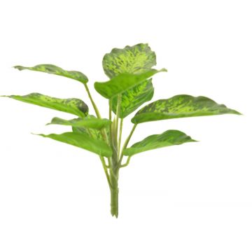 Deko Pflanze Dieffenbachia XUMEI, Steckstab, grün-creme, 25cm