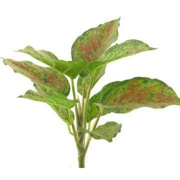 Deko Pflanze Caladium SHUTONG auf Steckstab, grün-rot, 25cm