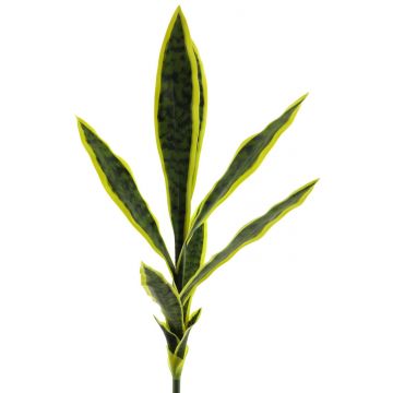 Deko Sukkulente Sansevieria SUNLIN auf Steckstab, grün-gelb, 70cm