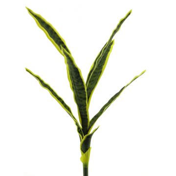 Deko Sukkulente Sansevieria SUNLIN auf Steckstab, grün-gelb, 60cm