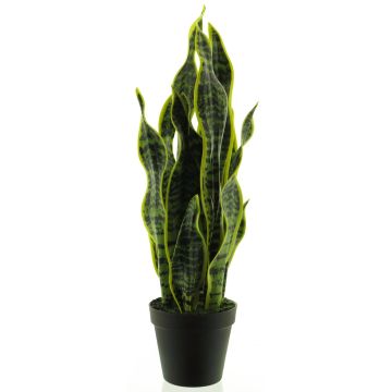 Kunst Sukkulente Sansevieria ANQING im Dekotopf, grün-gelb, 50cm