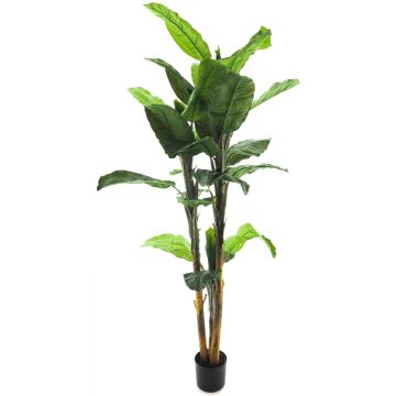 Plastik Palme Bananenpflanze ANHENG, 300cm