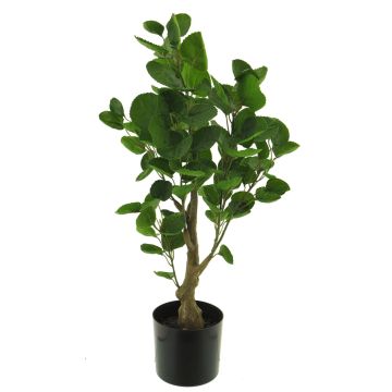Plastikpflanze Fiederaralie SHANG, Kunststamm, grün, 65cm