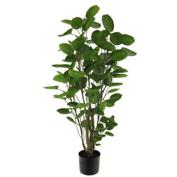 Plastikpflanze Fiederaralie SHANG, Kunststämme, grün, 105cm