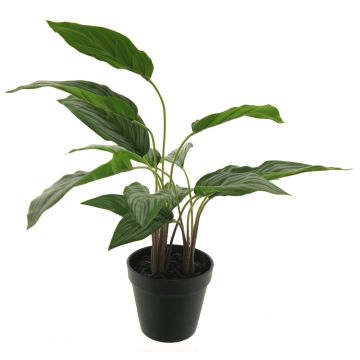 Plastikpflanze Kolbenfaden XIPING, Dekotopf, grün, 50cm