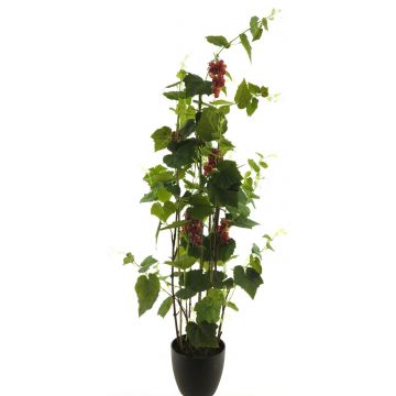Deko Pflanze Weinrebe JIFAN, Früchte, Dekotopf, grün-violett, 170cm