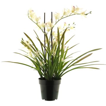 Kunstblume Cymbidum Orchidee XINGUI, creme-pink, 70cm