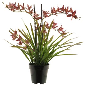 Kunstblume Cymbidum Orchidee XINGUI, dunkelrot, 70cm