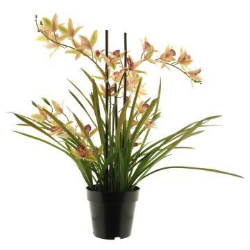 Kunstblume Cymbidum Orchidee XINGUI, rosa-grün, 70cm
