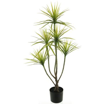 Kunstpflanze Dracaena Marginata FUNING, Kunststamm, grün, 100cm