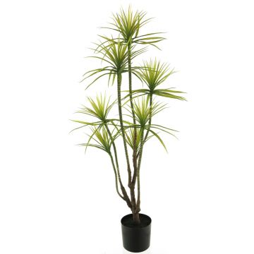 Kunstpflanze Dracaena Marginata FUNING, Kunststamm, grün, 130cm