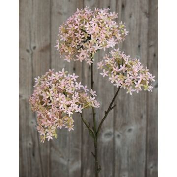 Künstliche Kronenblume GULIO, rosa-grün, 75cm, Ø10-15cm