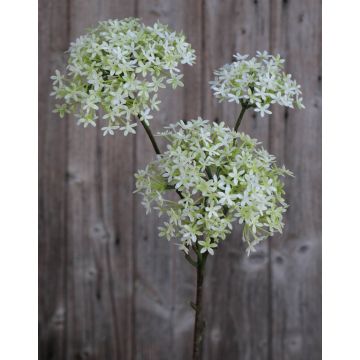 Künstliche Kronenblume GULIO, weiß-grün, 75cm, Ø10-15cm