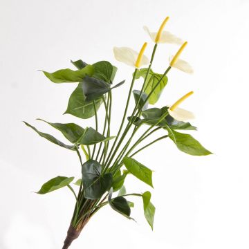 Kunstblume Anthurium LORIE auf Steckstab, creme, 55cm, 6x8cm