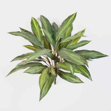 Künstlicher Drachenbaum Fragrans MERON auf Steckstab, grün-gelb, 50cm