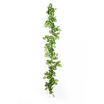 Kunst Syngonium Girlande AOLOA, grün-weiß, 180cm