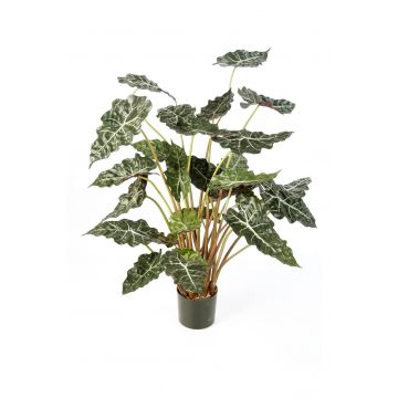 Künstliche Alocasia Sanderiana SHIVA, grün-weiß, 110cm