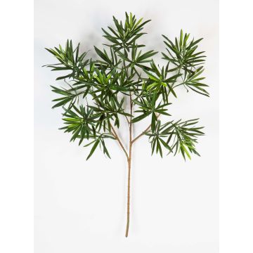 Künstlicher Podocarpus Zweig CHIKO, 65cm