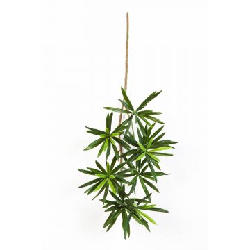Künstlicher Podocarpus Zweig CHIKO, 50cm