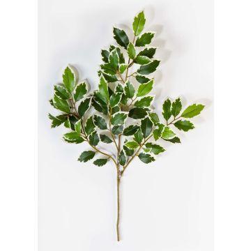 Künstlicher Ficus Benjamini Zweig AJITH, grün-weiß, 45cm