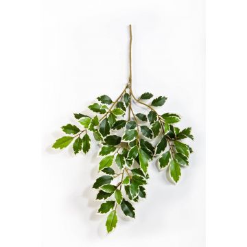 Künstlicher Ficus Benjamini Zweig AJITH, grün-weiß, 45cm