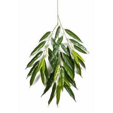 Künstlicher Longifolia Zweig RANJAN, 80cm