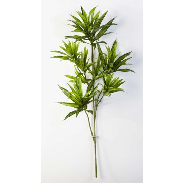 Kunstpflanze Dracaena Reflexa Jamaica Zweig MAYRA, grün, 80cm