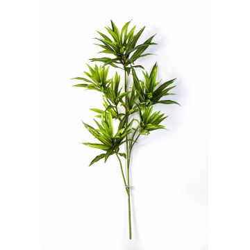 Kunstpflanze Dracaena Reflexa Jamaica Zweig MAYRA, grün, 80cm