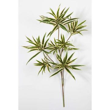 Kunstpflanze Dracaena Reflexa Jamaica Zweig MAYRA, grün-gelb, 80cm
