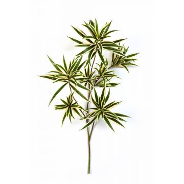 Kunstpflanze Dracaena Reflexa Jamaica Zweig MAYRA, grün-gelb, 80cm
