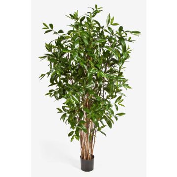 Künstlicher Drachenbaum SIMBA , Naturstämme, grün, 150cm