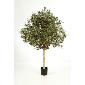 Kunst Olivenbaum NIKOLAS, Naturstamm, mit Früchten, 150cm