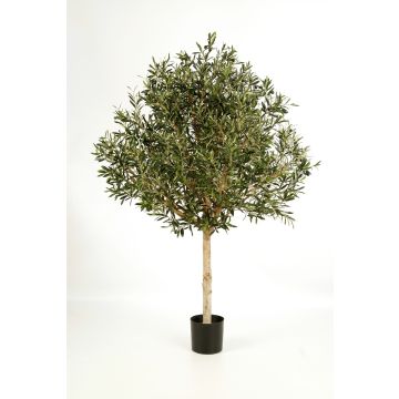 Kunst Olivenbaum NIKOLAS, Naturstamm, mit Früchten, 180cm